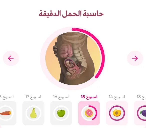 حاسبة الحمل الدقيقة | حساب الحمل بالهجري و بالميلادي